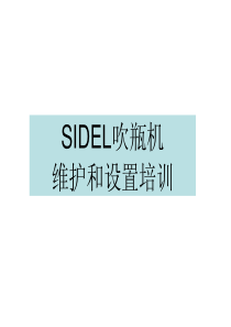SIDEL吹瓶机维护和设置培训