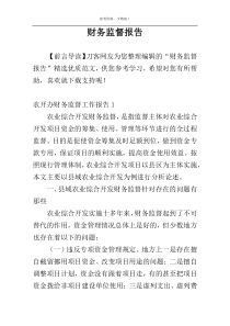 财务监督报告
