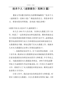 技术个人（述职报告）范例(3篇)