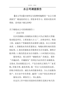 水公司调查报告