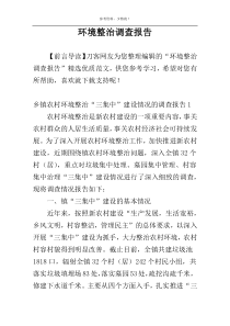 环境整治调查报告