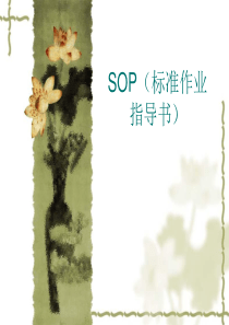SOP制作注意事项培训