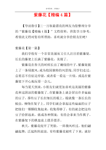 紫藤花【精编4篇】