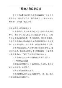检验人员监督总结