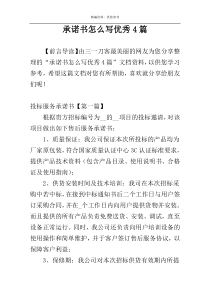 承诺书怎么写优秀4篇