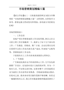 市场营销策划精编5篇