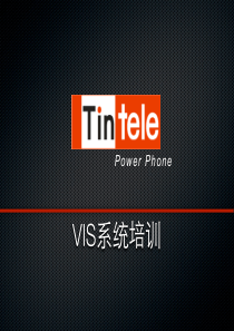 TINTELE VIS培训