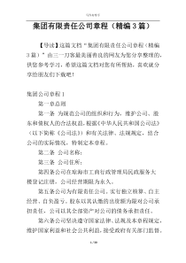 集团有限责任公司章程（精编3篇）