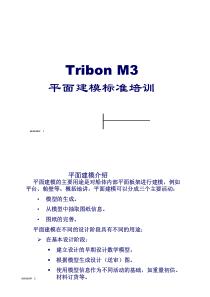TribonM3平面建模标准培训
