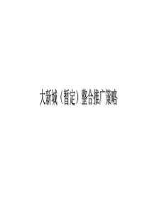 【房地产】上海龙华大新城整合推广策略