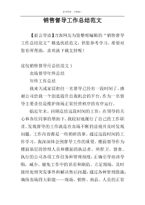 销售督导工作总结范文