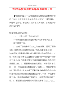 2022年度实用财务年终总结与计划