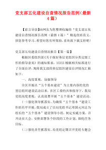 党支部五化建设自查情况报告范例（最新4篇）