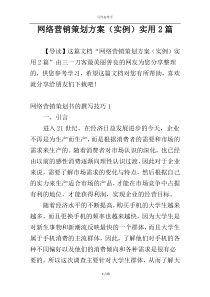网络营销策划方案（实例）实用2篇