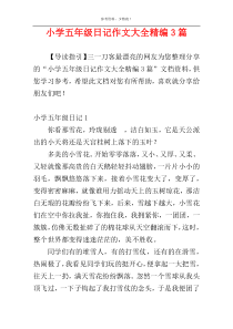 小学五年级日记作文大全精编3篇