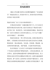 发电机报告