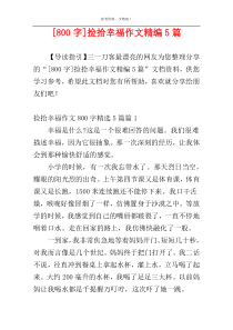 [800字]捡拾幸福作文精编5篇