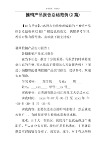 推销产品报告总结范例(2篇)