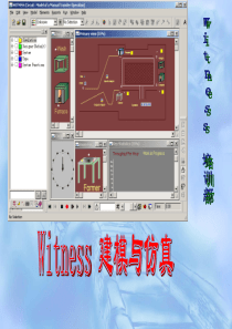 witness培训资料