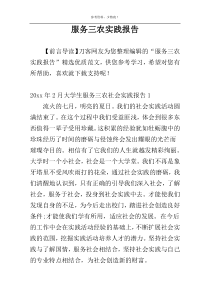 服务三农实践报告