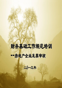 基础工作规范培训---房地产企业发票审核