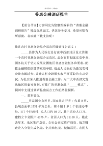 普惠金融调研报告