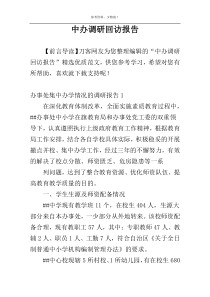 中办调研回访报告