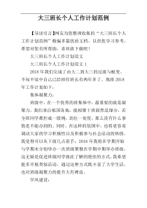 大三班长个人工作计划范例