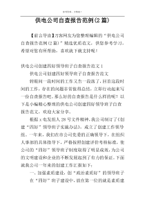 供电公司自查报告范例(2篇)