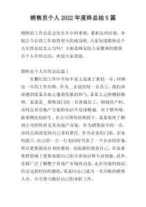销售员个人2022年度终总结5篇
