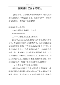 医院统计工作总结范文