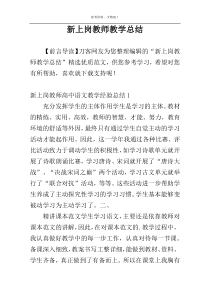 新上岗教师教学总结