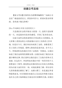 动画公司总结