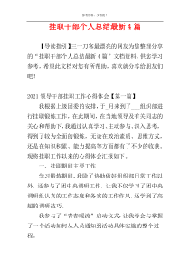 挂职干部个人总结最新4篇
