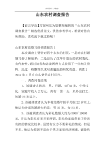 山东农村调查报告