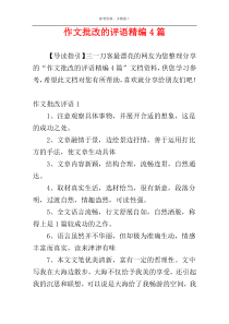 作文批改的评语精编4篇