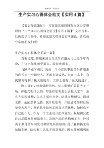 生产实习心得体会范文【实用4篇】