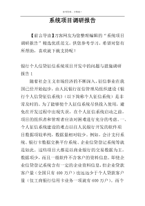 系统项目调研报告