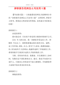 辞职报告范例怎么写实用5篇