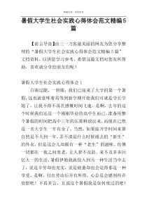 暑假大学生社会实践心得体会范文精编5篇