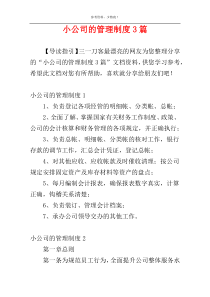 小公司的管理制度3篇