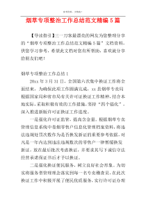 烟草专项整治工作总结范文精编5篇