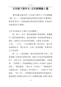 五年级下册作文-五年级精编3篇
