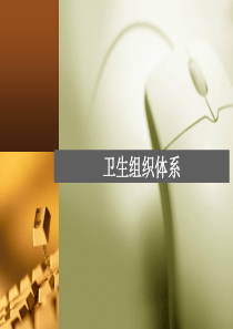 【培训课件】卫生组织体系