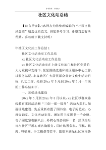 社区文化站总结