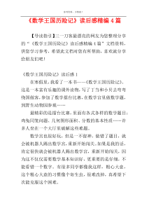 《数学王国历险记》读后感精编4篇