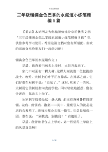 三年级铺满金色巴掌的水泥道小练笔精编5篇
