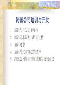 【培训课件】跨国公司培训与开发