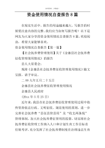 资金使用情况自查报告8篇