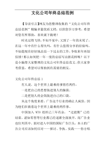 文化公司年终总结范例